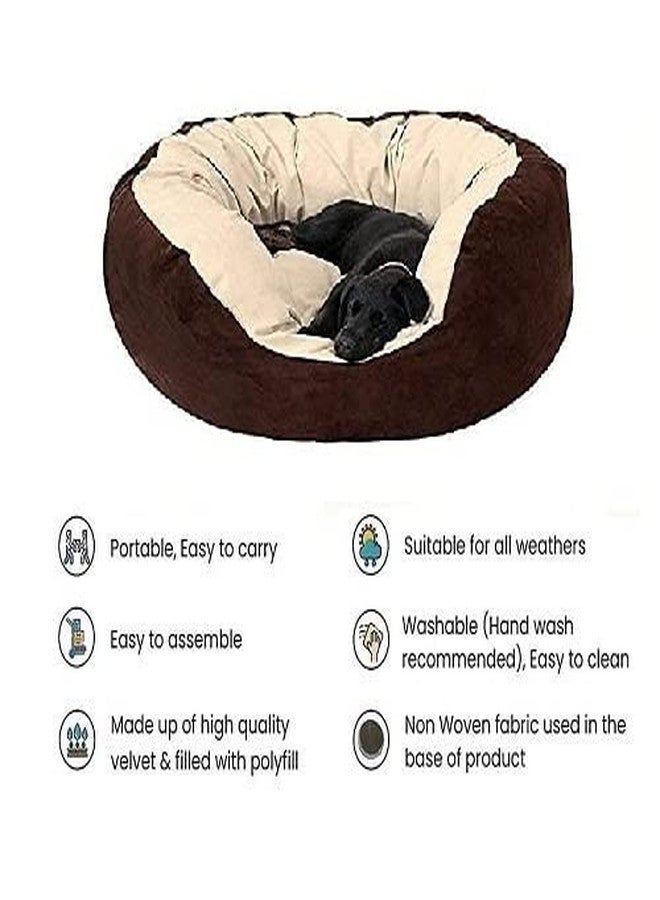 gorgeous Super Soft Reversable Dual (Dog and Cat Bed)-Small (Cream,Brown, XL) - Image 4